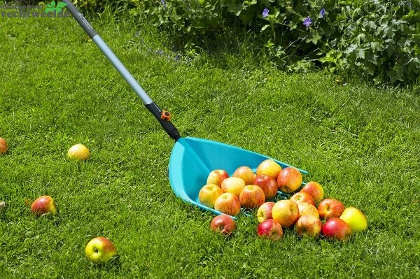 Gardena Combisystem-multihark Assortiment - Afbeelding 3