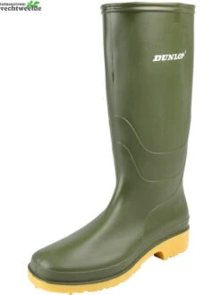 Dunlop Laars Pvc Rapido Groen 31