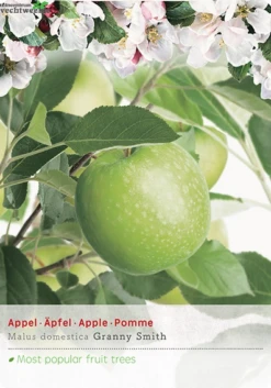 Malus Dom. Granny Smith P27 H120cm