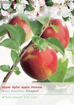Malus Dom. Rode Jonagold 27 H120cm