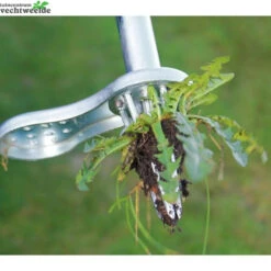 Talen Tools Onkruidsteker