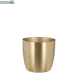 Pot Alano D16h14.80cm Goud