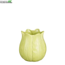 Pot L14b14h15cm Groen