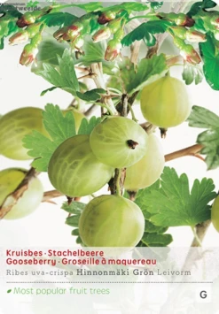 Ribes Uva Cr. Hinnonm Gron Lei Vp5