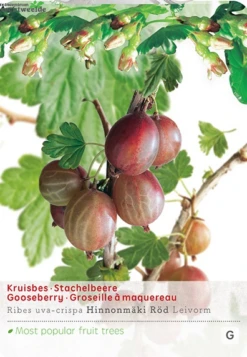 Ribes Uva Cr. Hinnonm Rod Lei Vp5