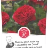Rosa 'Red Leonardo Da Vinci'®