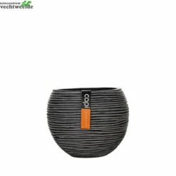 Vaas Bol Iii D22.5h19cm Zwart