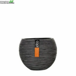 Vaas Bol Iv D29.2h25cm Zwart