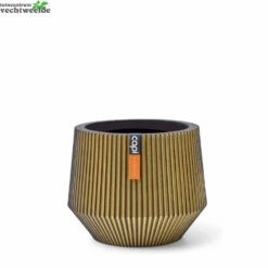 Vaas Cilinder Geo Groove D19h16 Zwt