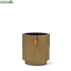 Vaas Cilinder Groove D15h17 Zw/gd