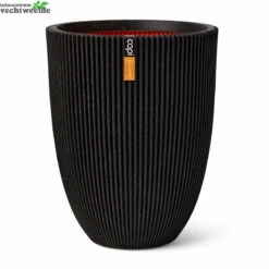 Vaas Elegant Lg Groove D46h58 Zw/gd